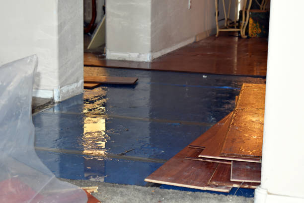 Professional Basement Flood Cleanup technician working in Trenton, NC